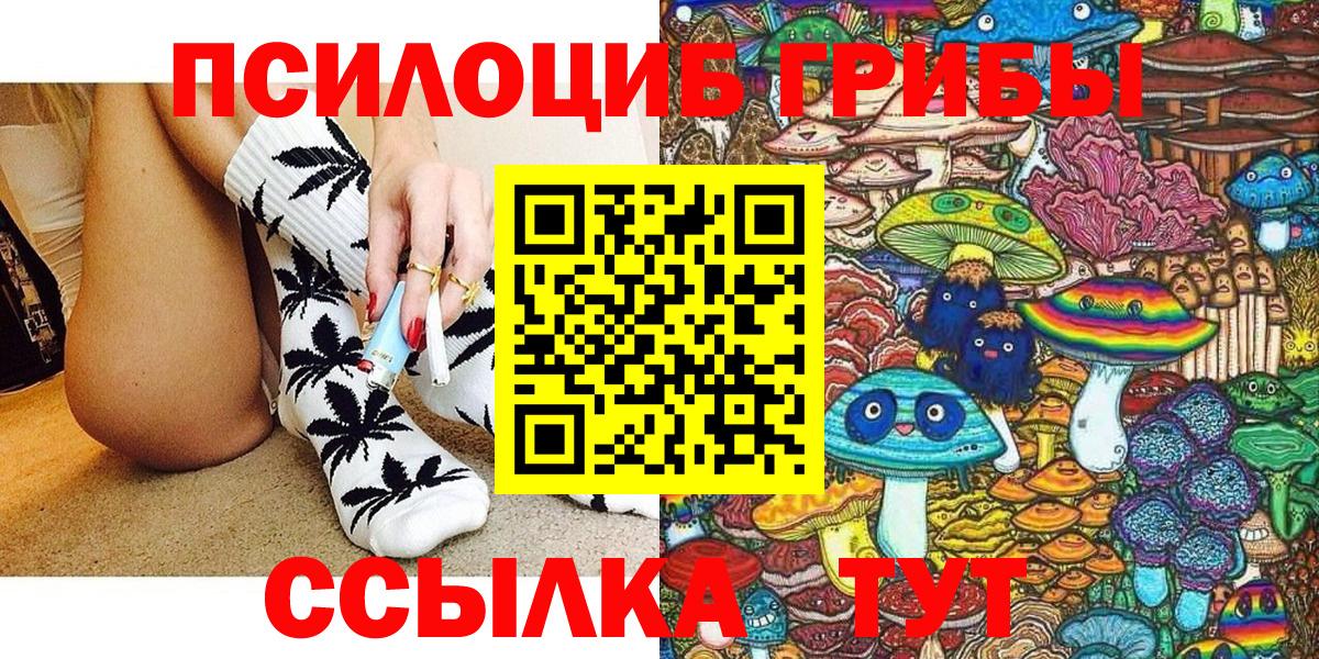 Губкинский  Галлюциногенные грибы Psilocybe  наркотики  Вход с VPN  Галлюциногенные грибы Psilocybine cubensis 