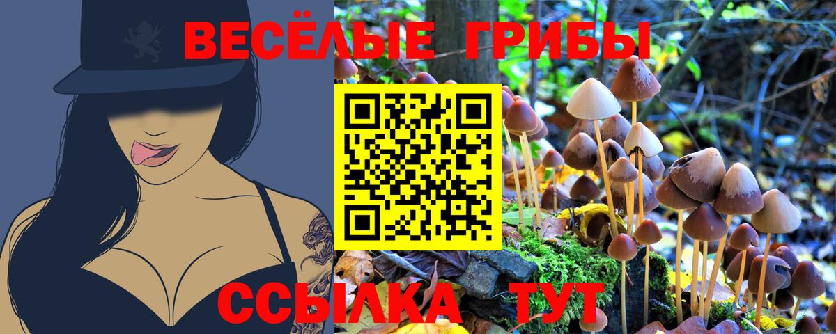 Галлюциногенные грибы Magic Shrooms Губкинский